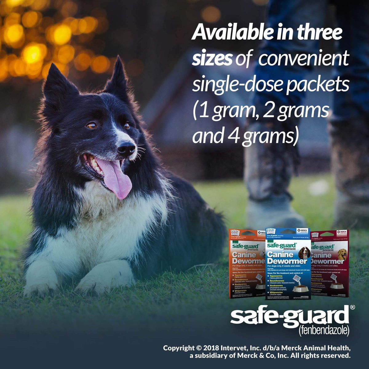 Canine Dewormer 4gm pouch B647843