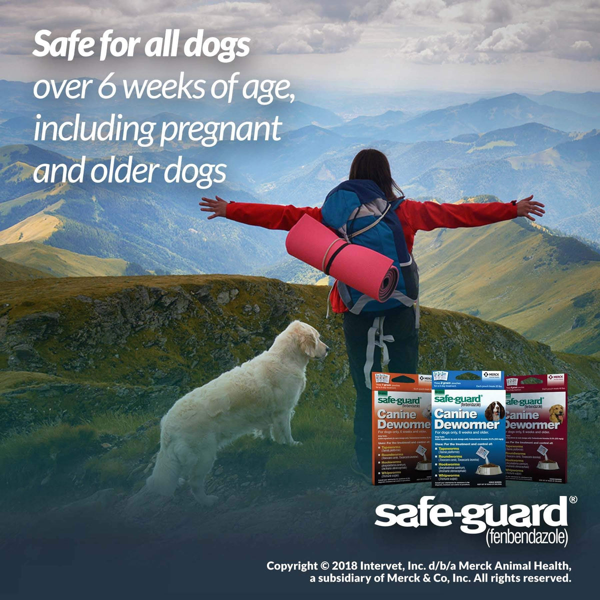 Canine Dewormer 4gm pouch B647843