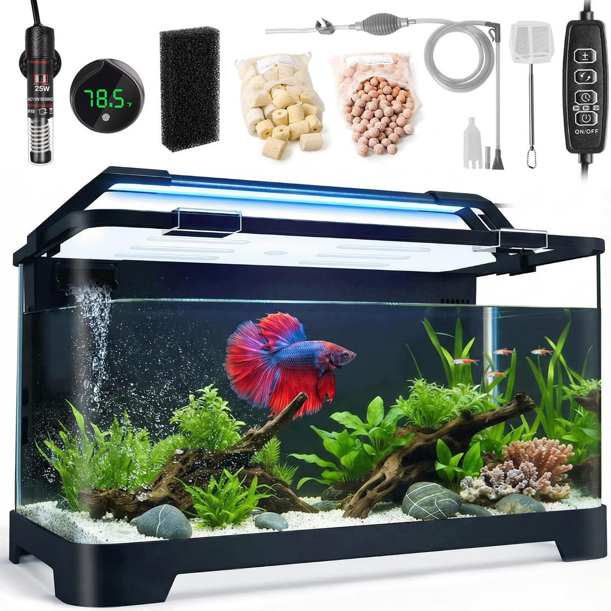 3.5 Gallon Betta Fish Tank C70849