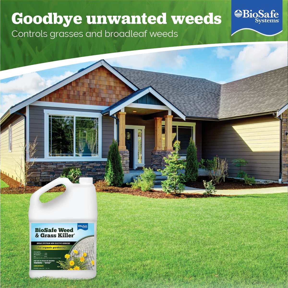 1 Gallon Water Soluble Weed & Grass Killer Concentrate Z74721