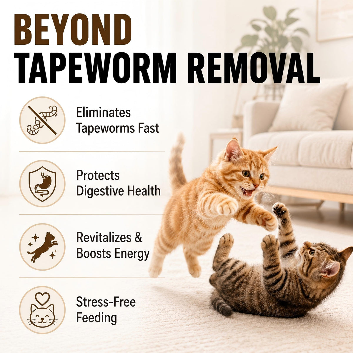 Cat Tapeworm Dewormer Liquid 100 mL L819476