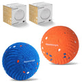 2-Pack Interactive Washable Dog Ball I929