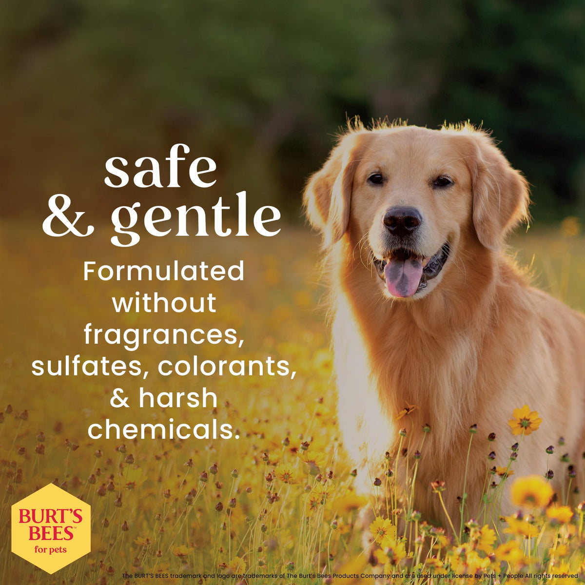 Fragrance-Free Oatmeal Dog Conditioner 10 Fl Oz X6540