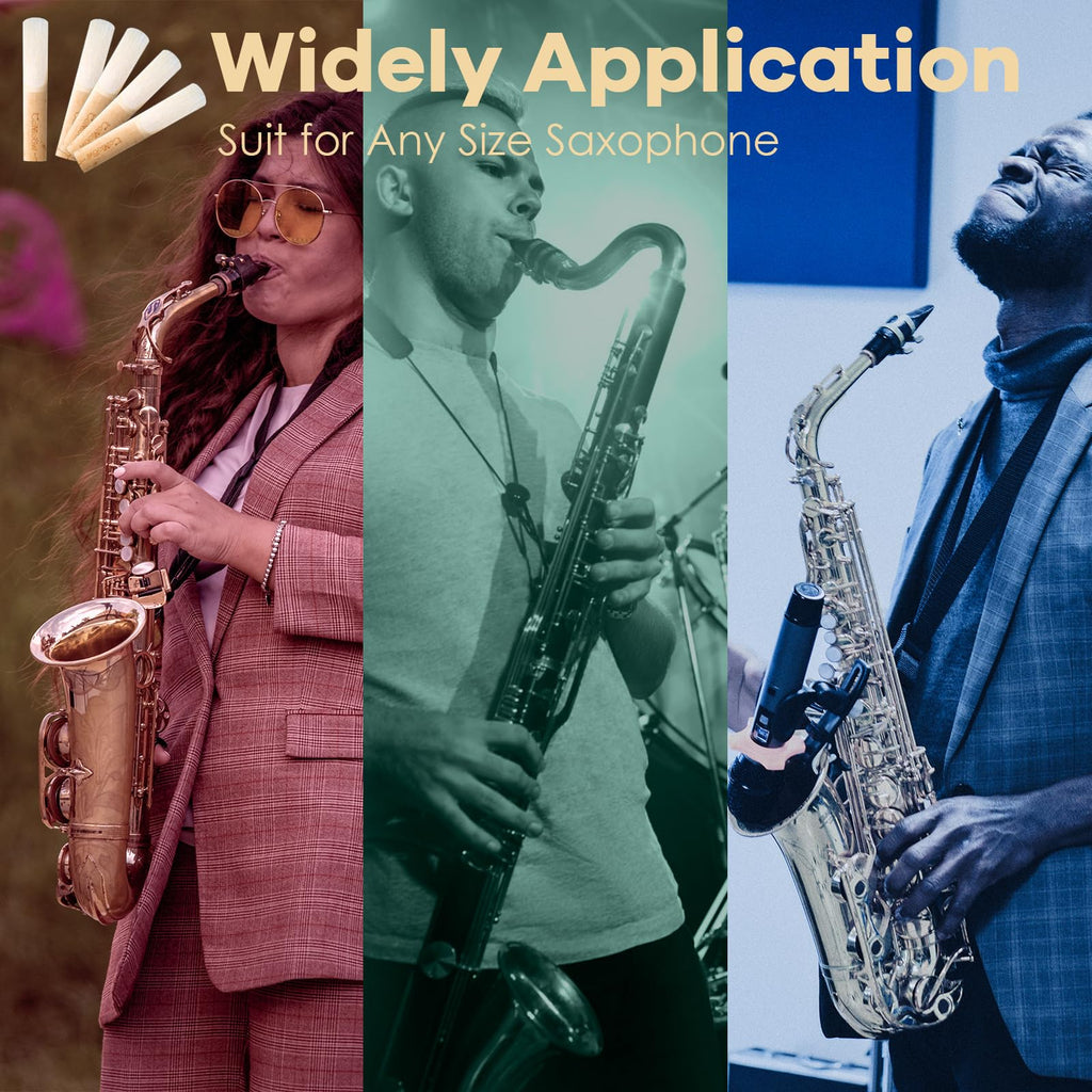Alto Saxophone Reeds 2.0 10 Pack W927