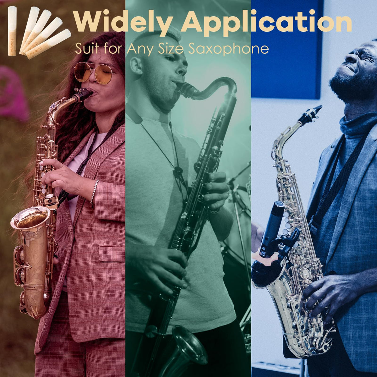 Alto Saxophone Reeds 2.0 10 Pack W927