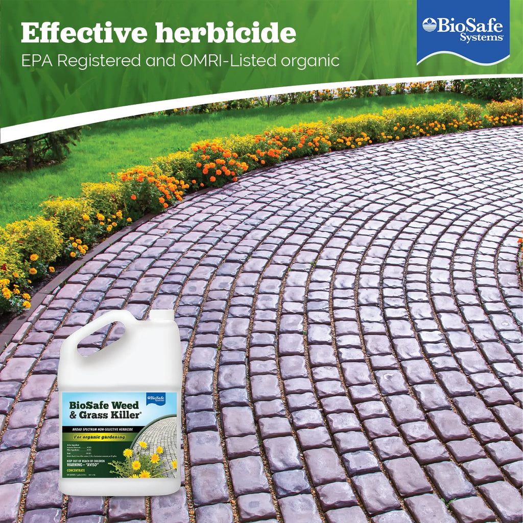 1 Gallon Water Soluble Weed & Grass Killer Concentrate Z74721