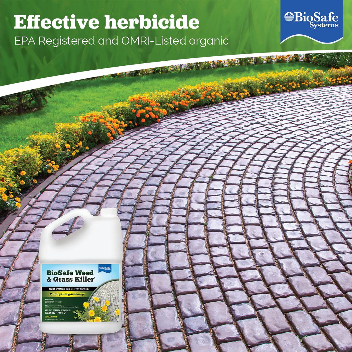 1 Gallon Water Soluble Weed & Grass Killer Concentrate Z74721