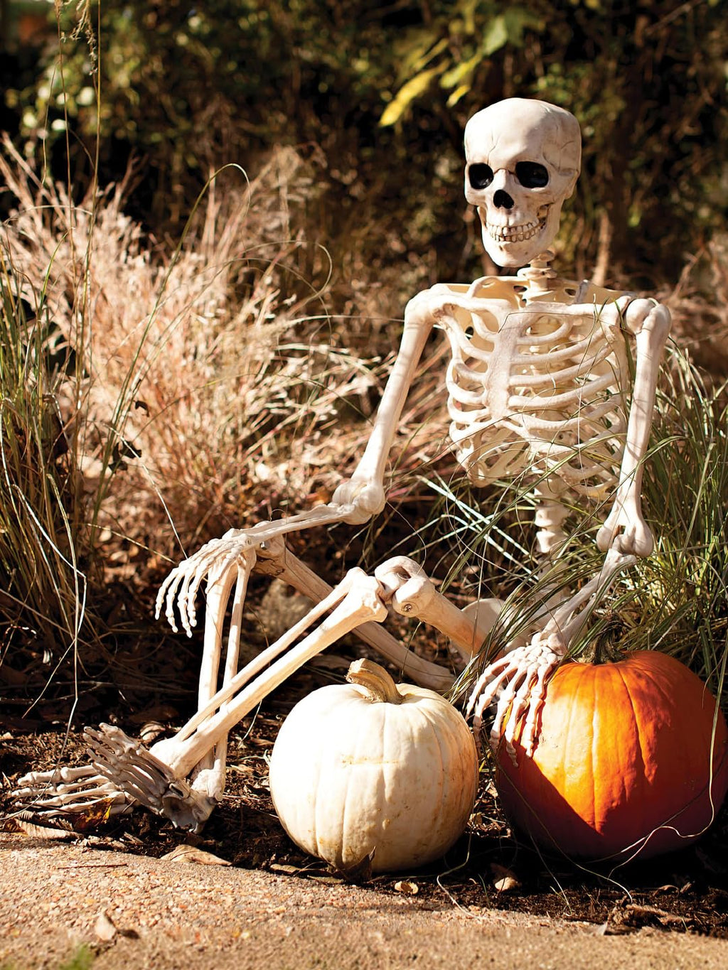 5 FT Life Size Skeleton Halloween Decoration B95773