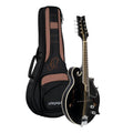Satin Black Acoustic-Electric Mandolin Z323