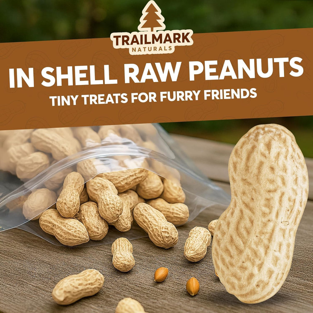 Raw Peanuts for Squirrels and Birds, 5 Pounds Total R195373