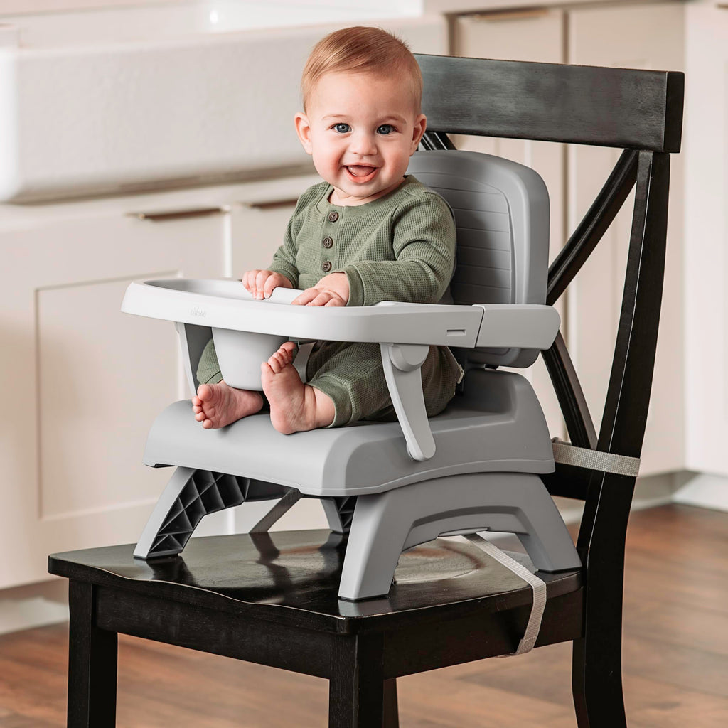 3-in-1 Portable Booster Seat R350721