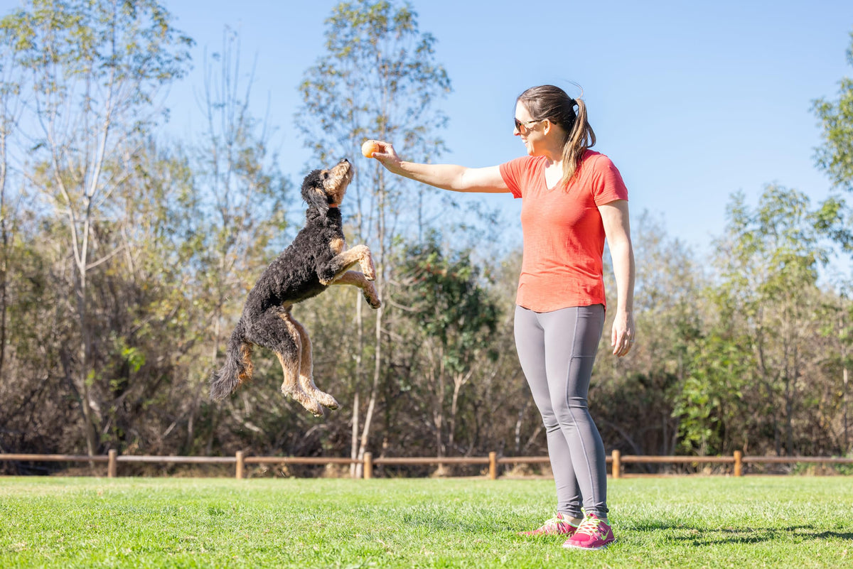 Medium Fetch Ball I1380